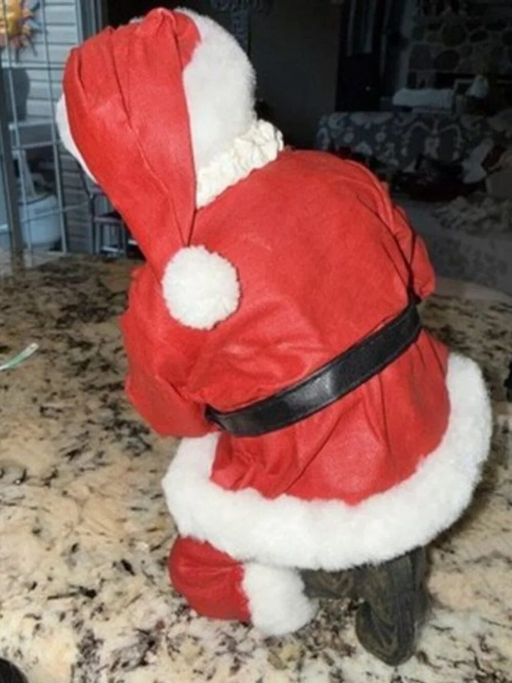 Possible Dreams Santa with Dog Figurine “Good Boy Santa”